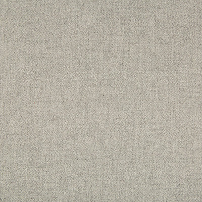 Lucky Suit Light Grey by Kravet Couture Fabric