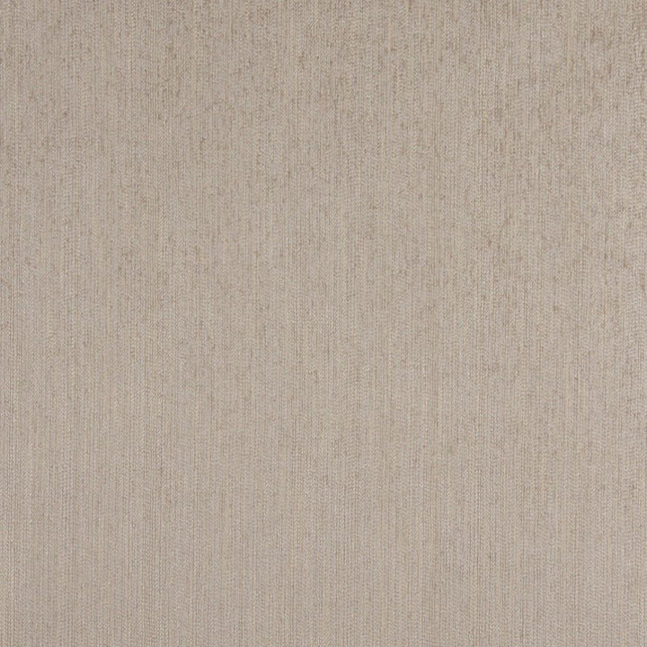 3491 Opal by Charlotte Fabric Ring Book Page #11 100% Woven Polyester Asia Exceeds 90,000 Wyzenbeek Rubs (Heavy Duty) No Repeat 54 Inches - Fabric Carolina -