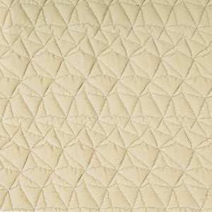 Taking Shape Champagne by Kravet Couture Fabric