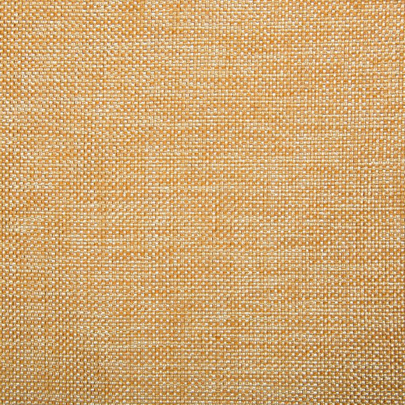 34939.1211 by Kravet Smart Designer Fabric our website for purchase Polyester 100% China Heavy Horizontal: see sample and Vertical: see sample 54 inches - Swanky Fabrics -