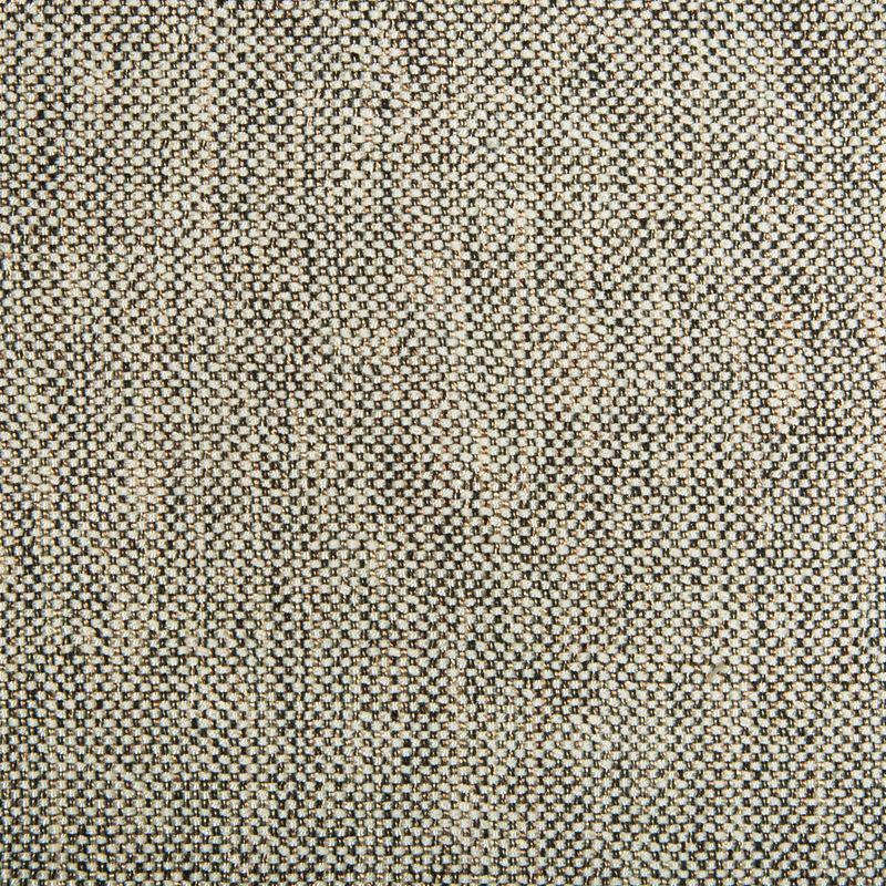34939.816 by Kravet Smart Designer Fabric our website for purchase Polyester 100% China Heavy Horizontal: see sample and Vertical: see sample 54 inches - Swanky Fabrics -