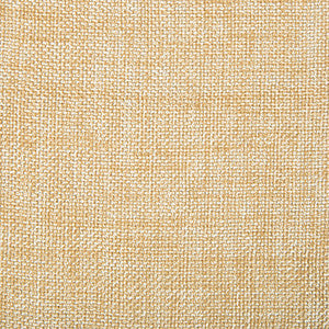 Kravet Smart 34939-1116 by Kravet Smart Fabric