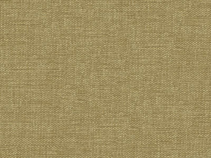 34959.404 by Kravet Smart Designer Fabric Performance Kravetarmor Polyester 100% India Heavy Horizontal: see sample and Vertical: see sample 54 inches - Swanky Fabrics -