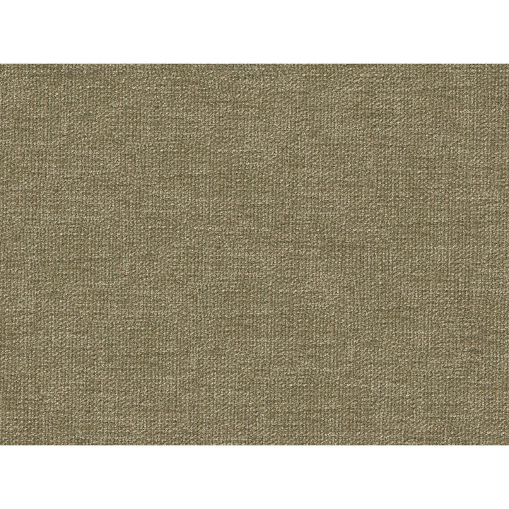 34959-1060 by Kravet Smart Fabric PERFORMANCE KRAVETARMOR POLYESTER - 100% India HEAVY Horizontal: and Vertical: 54 - Fabric Carolina -