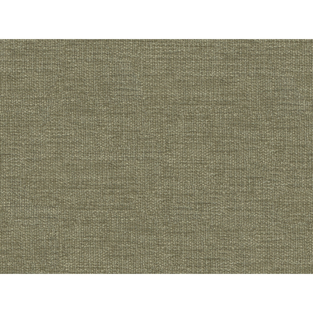 34959-1121 by Kravet Smart Fabric PERFORMANCE KRAVETARMOR POLYESTER - 100% India HEAVY Horizontal: and Vertical: 54 - Fabric Carolina -