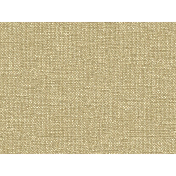 34959-1 by Kravet Smart Fabric PERFORMANCE KRAVETARMOR POLYESTER - 100% India HEAVY Horizontal: - and Vertical: - 54 - Fabric Carolina -