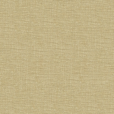 Kravet Smart 34959-1001 by Kravet Smart Fabric