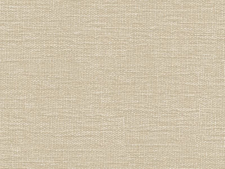 34961.111 by Kravet Contract Designer Fabric Performance Kravetarmor Polyester 100% India Heavy Horizontal: see sample and Vertical: see sample 54 inches - Swanky Fabrics -