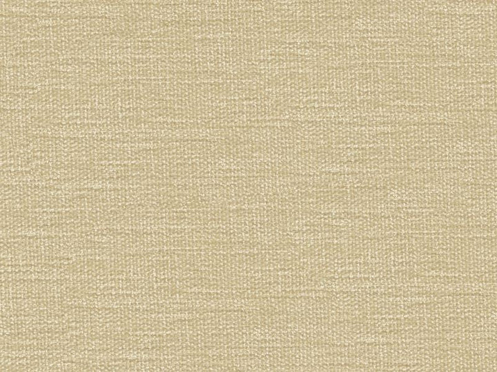 34961.1116 by Kravet Contract Designer Fabric in our sample Polyester 100% India Heavy Horizontal: See Sample and Vertical: See Sample 54 inches - Swanky Fabrics -