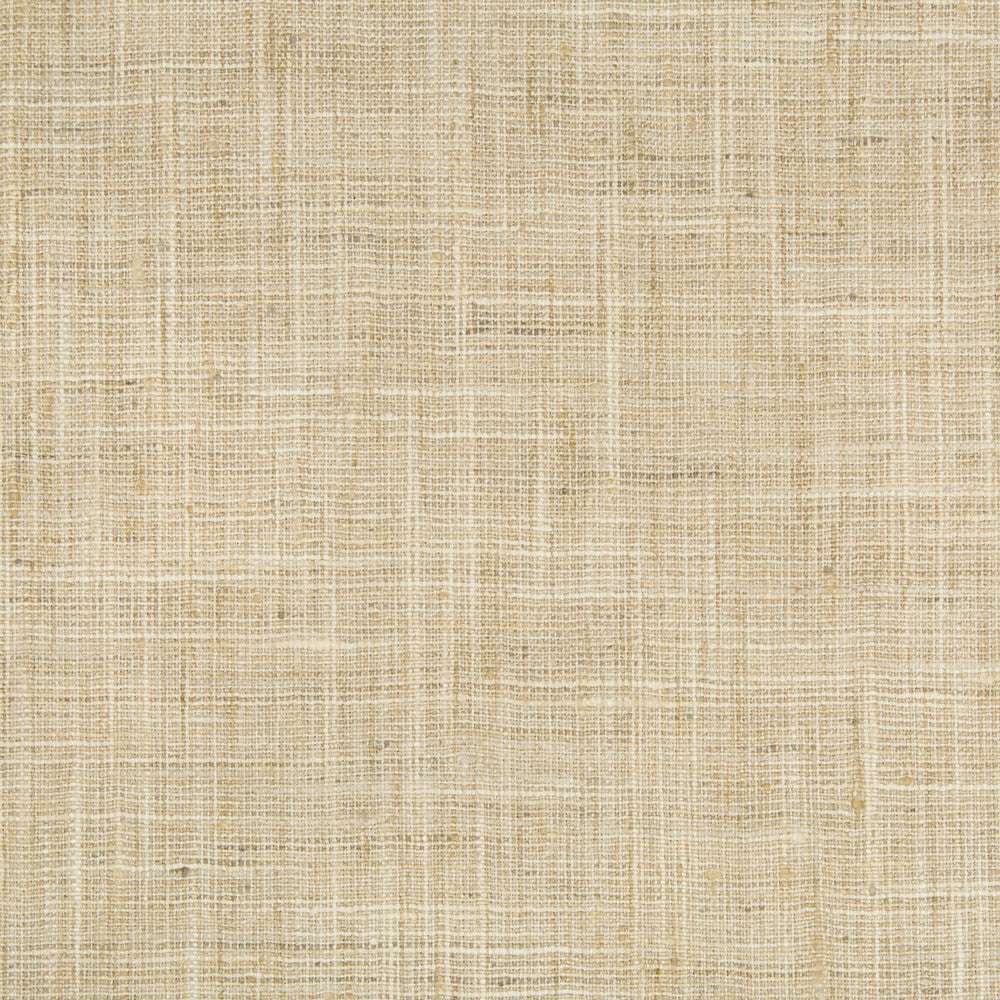 34983-1116 by Kravet Basics Fabric - POLYESTER - 100% India MEDIUM Horizontal: - and Vertical: - 54 - Fabric Carolina -