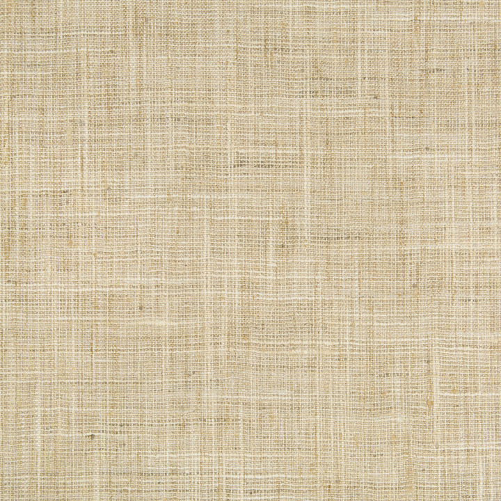 34983-1116 by Kravet Basics Fabric POLYESTER - 100% India MEDIUM Horizontal: and Vertical: 54 - Fabric Carolina -