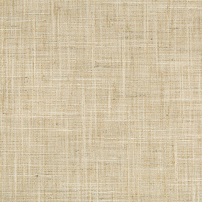 Kravet Basics 34983-1116 by Kravet Basics Fabric