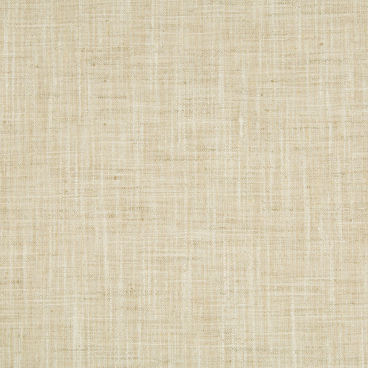 34983-111 by Kravet Basics Fabric POLYESTER - 100% India MEDIUM Horizontal: and Vertical: 54 - Fabric Carolina -