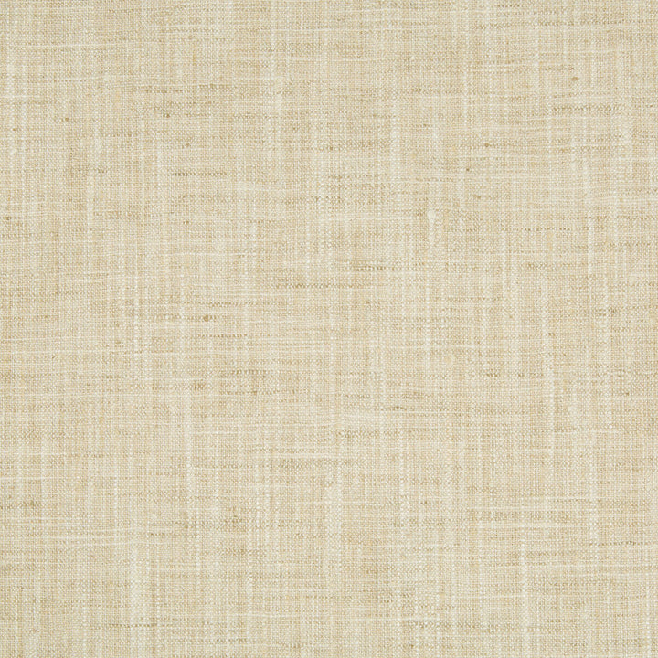 34983-111 by Kravet Basics Designer Fabric POLYESTER - 100% India MEDIUM Horizontal: and Vertical: 54 - Swanky Fabrics -