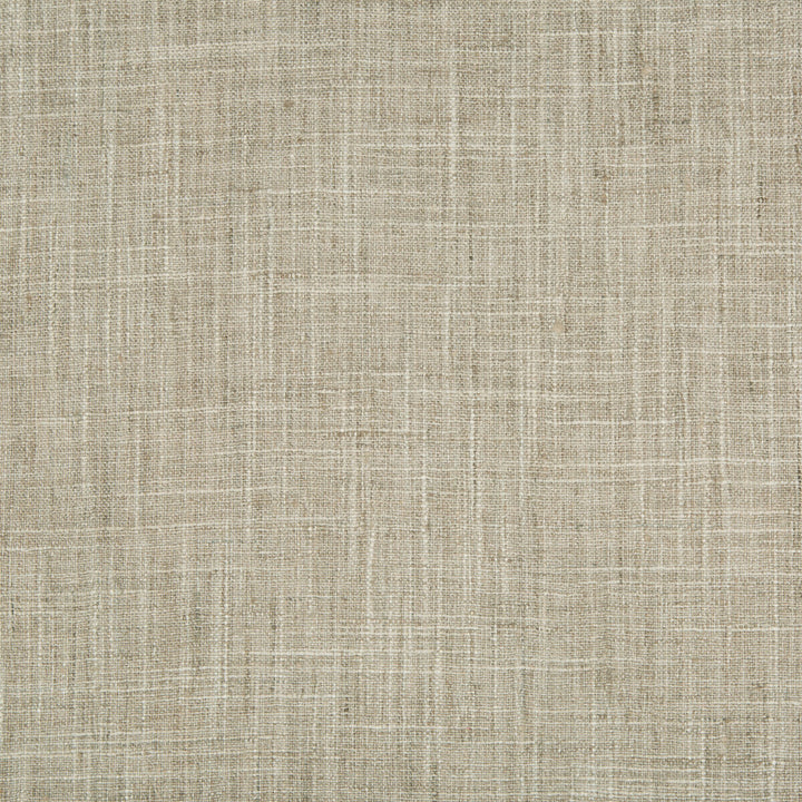 34983-1121 by Kravet Basics Fabric POLYESTER - 100% India MEDIUM Horizontal: and Vertical: 54 - Fabric Carolina -