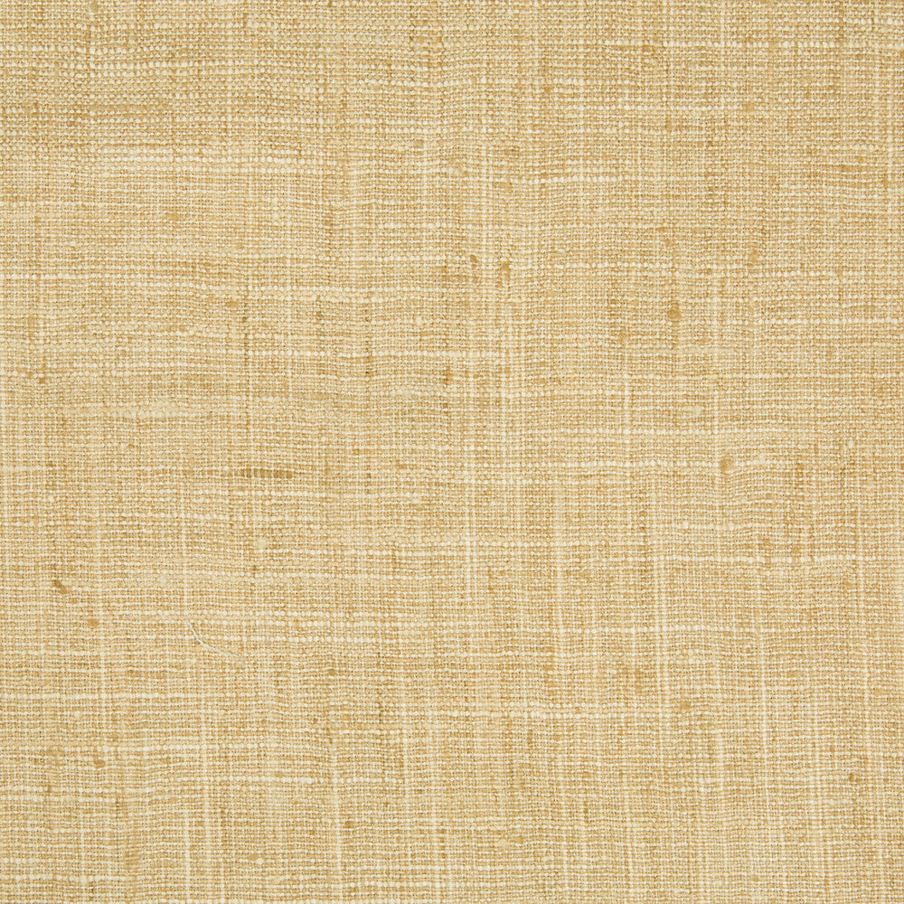 34983-1616 by Kravet Basics Fabric POLYESTER - 100% India MEDIUM Horizontal: and Vertical: 54 - Fabric Carolina -