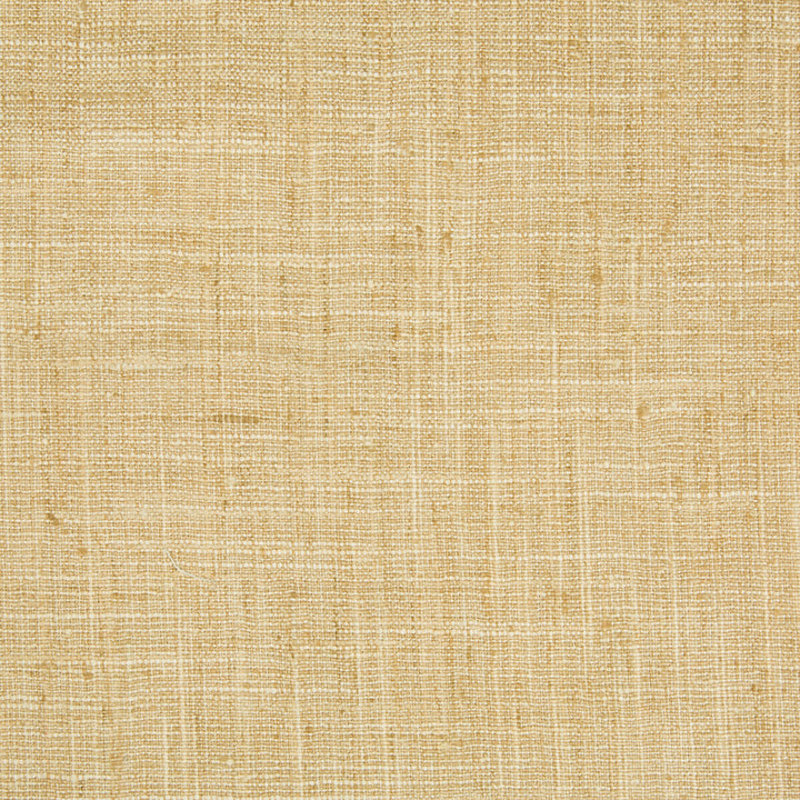 34983-1616 by Kravet Basics Fabric - POLYESTER - 100% India MEDIUM Horizontal: - and Vertical: - 54 - Fabric Carolina -