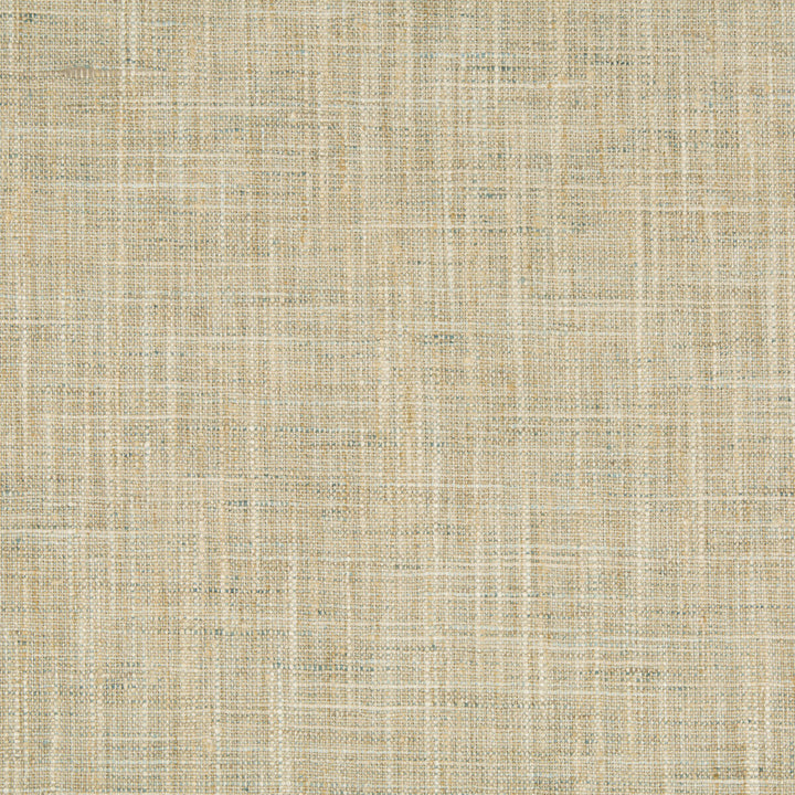 Kravet Basics 34983-1635 by Kravet Basics Fabric Kravet Basics Fabric Kravet Basics 34983-1635Fabric POLYESTER - 100% India </p><p>Repeat: H: , V: 54 - Fabric Carolina -