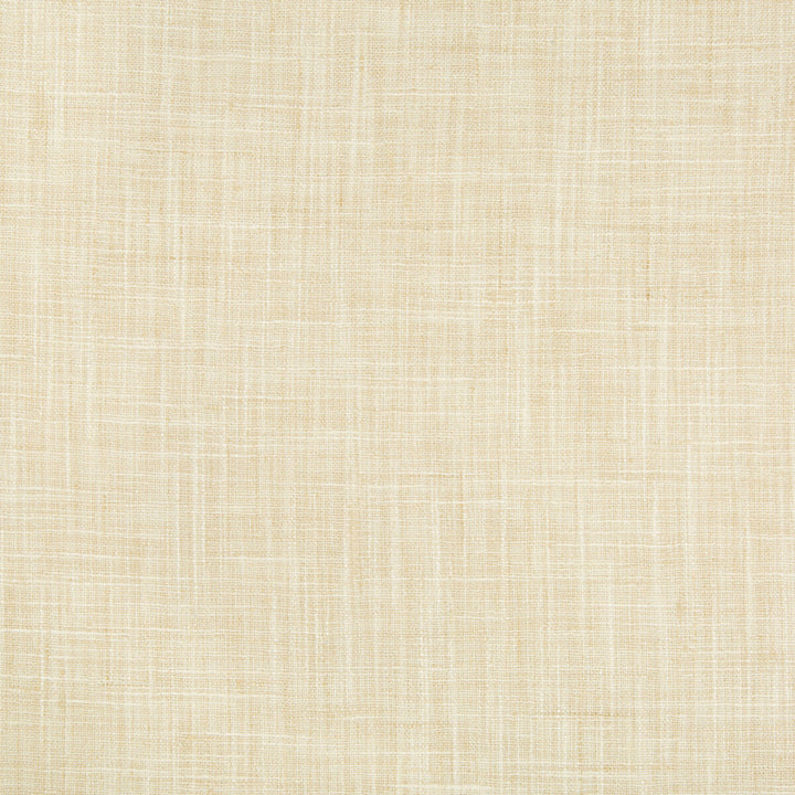 34983-1 by Kravet Basics Fabric - POLYESTER - 100% India MEDIUM Horizontal: - and Vertical: - 54 - Fabric Carolina -