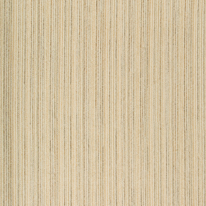 34989-1611 by Kravet Design Fabric PERFORMANCE CRYPTON HOME COTTON - 39%;RAYON - 34%;POLYESTER - 19%;FLAX - 7%;NYLON - 1% United States HEAVY Horizontal: 0 and Vertical: 0 56.75 - Fabric Carolina -