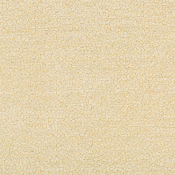 Kravet Design 34993-16 by Kravet Design Fabric Kravet Design Fabric Kravet Design 34993-16Fabric PERFORMANCE CRYPTON HOME COTTON - 85%;POLYESTER - 15% United States </p><p>Repeat: H: 0, V: 0 54 - Fabric Carolina -