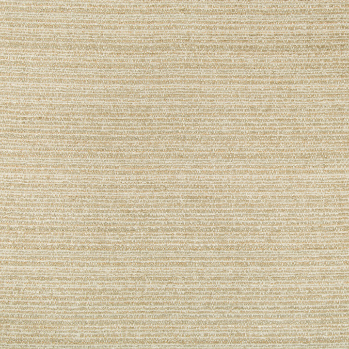34995-16 by Kravet Design Fabric PERFORMANCE CRYPTON HOME RAYON - 85%;COTTON - 14%;NYLON - 1% United States HEAVY Horizontal: 0 and Vertical: 0 58 - Fabric Carolina -