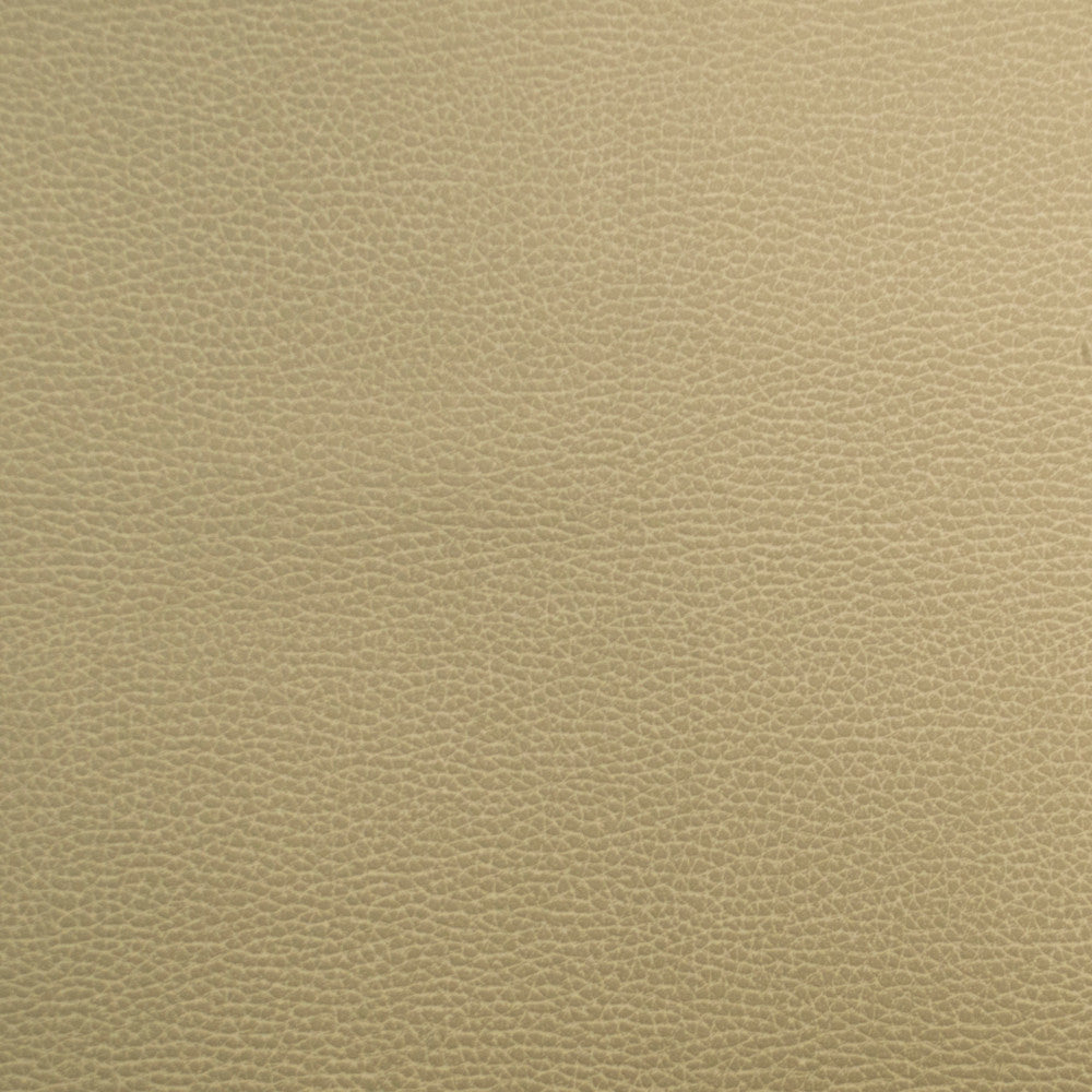 Pioneer 34 by Europatex Fabric Pioneer 40% Polyester, 55% PVC, 5% PU 55.00 inches - Fabric Carolina -