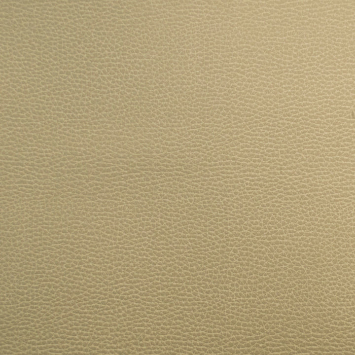 Pioneer 34 by Europatex Fabric Pioneer 40% Polyester, 55% PVC, 5% PU 55.00 inches - Fabric Carolina -