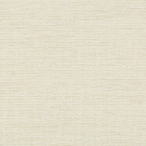 Kravet Contract 35006-116 by Kravet Contract Fabric