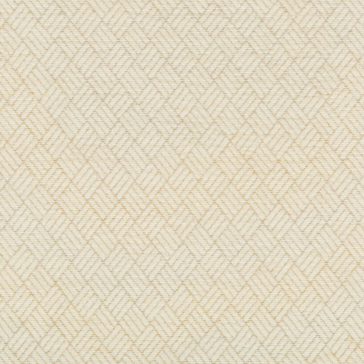 35017-116 by Kravet Contract Designer Fabric INCASE CRYPTON GIS COTTON - 82%;POLYESTER - 18% United States HEAVY Horizontal: 1 and Vertical: 1.2 54 - Swanky Fabrics -
