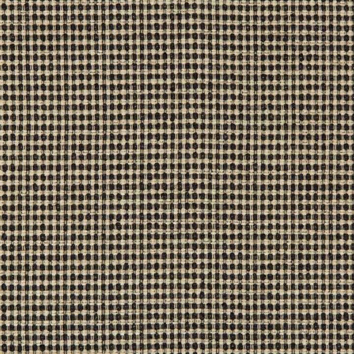 35029-11 by Kravet Design Fabric PERFORMANCE CRYPTON HOME RAYON - 58%;POLYESTER - 34%;COTTON - 7%;NYLON - 1% United States HEAVY Horizontal: 0 and Vertical: 0 56 - Fabric Carolina -