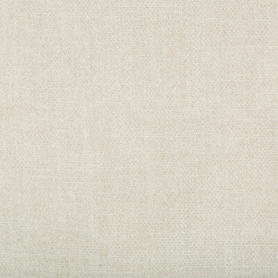 35060.1101.0 by Kravet Fabric Kravet Fabric 35060.1101.0Fabric PERFORMANCE KRAVETARMOR POLYESTER - 100% China </p><p>Repeat: H: 0, V: 0 55 - Fabric Carolina -