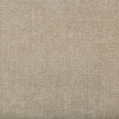 35060.11.0 by Kravet Fabric Kravet Fabric 35060.11.0Fabric PERFORMANCE KRAVETARMOR POLYESTER - 100% China </p><p>Repeat: H: 0, V: 0 55 - Fabric Carolina -