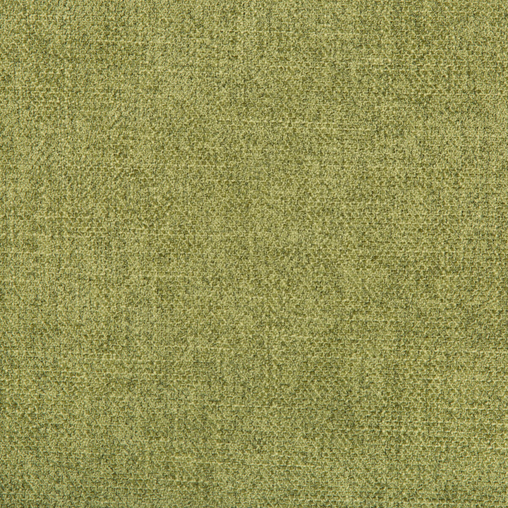 Kf Smt:: by Kravet Smart Fabric PERFORMANCE KRAVETARMOR POLYESTER - 100% China HEAVY Horizontal: 0 and Vertical: 0 55 - Fabric Carolina -