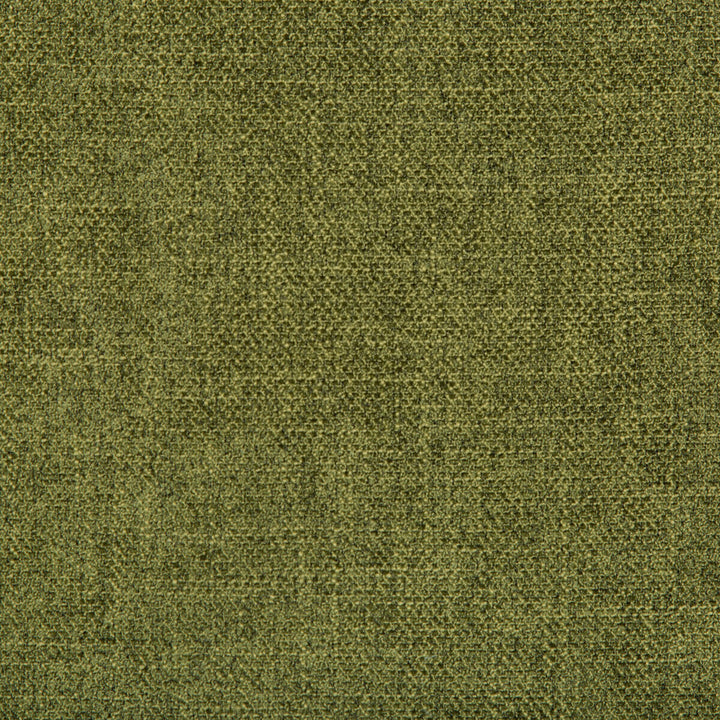 Kf Smt:: by Kravet Smart Fabric PERFORMANCE KRAVETARMOR POLYESTER - 100% China HEAVY Horizontal: 0 and Vertical: 0 55 - Fabric Carolina -