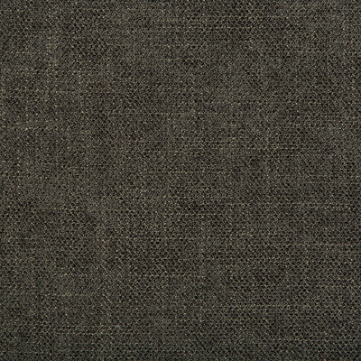 35060.821.0 by Kravet Fabric Kravet Fabric 35060.821.0Fabric PERFORMANCE KRAVETARMOR POLYESTER - 100% China </p><p>Repeat: H: 0, V: 0 55 - Fabric Carolina -