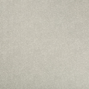 Pebbledot Stone by Kravet Basics Fabric