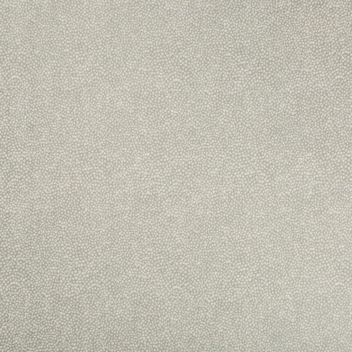 Pebbledot Stone by Kravet Basics Fabric JEFFREY ALAN MARKS OCEANVIEW POLYESTER - 58%;VISCOSE - 42% India HEAVY Horizontal: 6.77 and Vertical: 7.55 54.1 - Fabric Carolina -