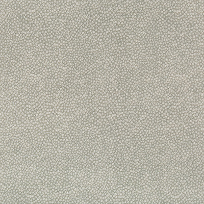 Pebbledot Stone by Kravet Basics Fabric