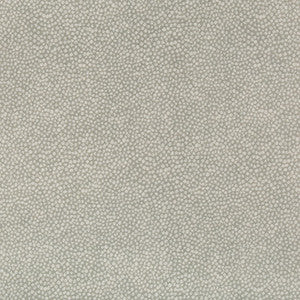 Pebbledot Stone by Kravet Basics Fabric