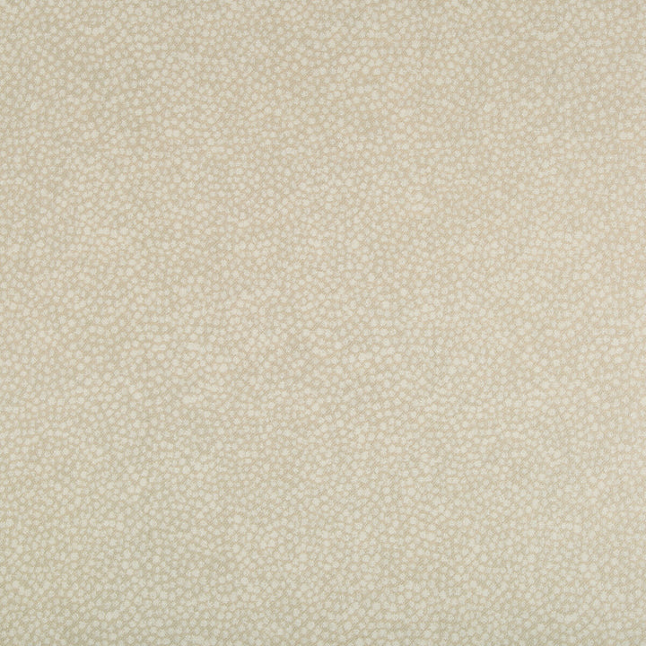 Pebbledot Sand by Kravet Basics Fabric JEFFREY ALAN MARKS OCEANVIEW POLYESTER - 58%;VISCOSE - 42% India HEAVY Horizontal: 6.77 and Vertical: 7.55 54.1 - Fabric Carolina -