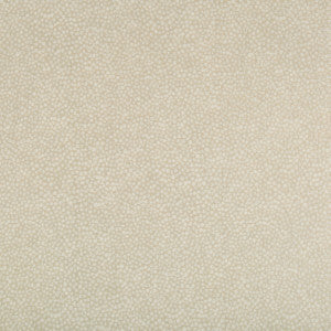 Pebbledot Sand by Kravet Basics Fabric