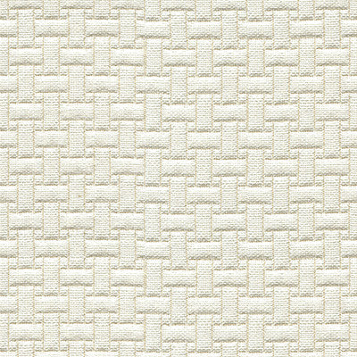 Magaluf Ivory by Kravet Design Fabric