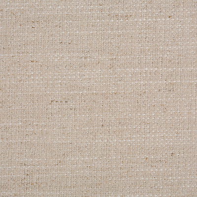 Kravet Smart 35111-111 by Kravet Smart Fabric