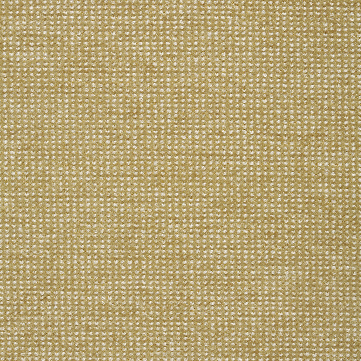 Kravet Smart 35115-14 by Kravet Smart Fabric Kravet Smart Fabric Kravet Smart 35115-14Fabric CRYPTON HOME POLYESTER - 100% China </p><p>Repeat: H: , V: 54 - Fabric Carolina -