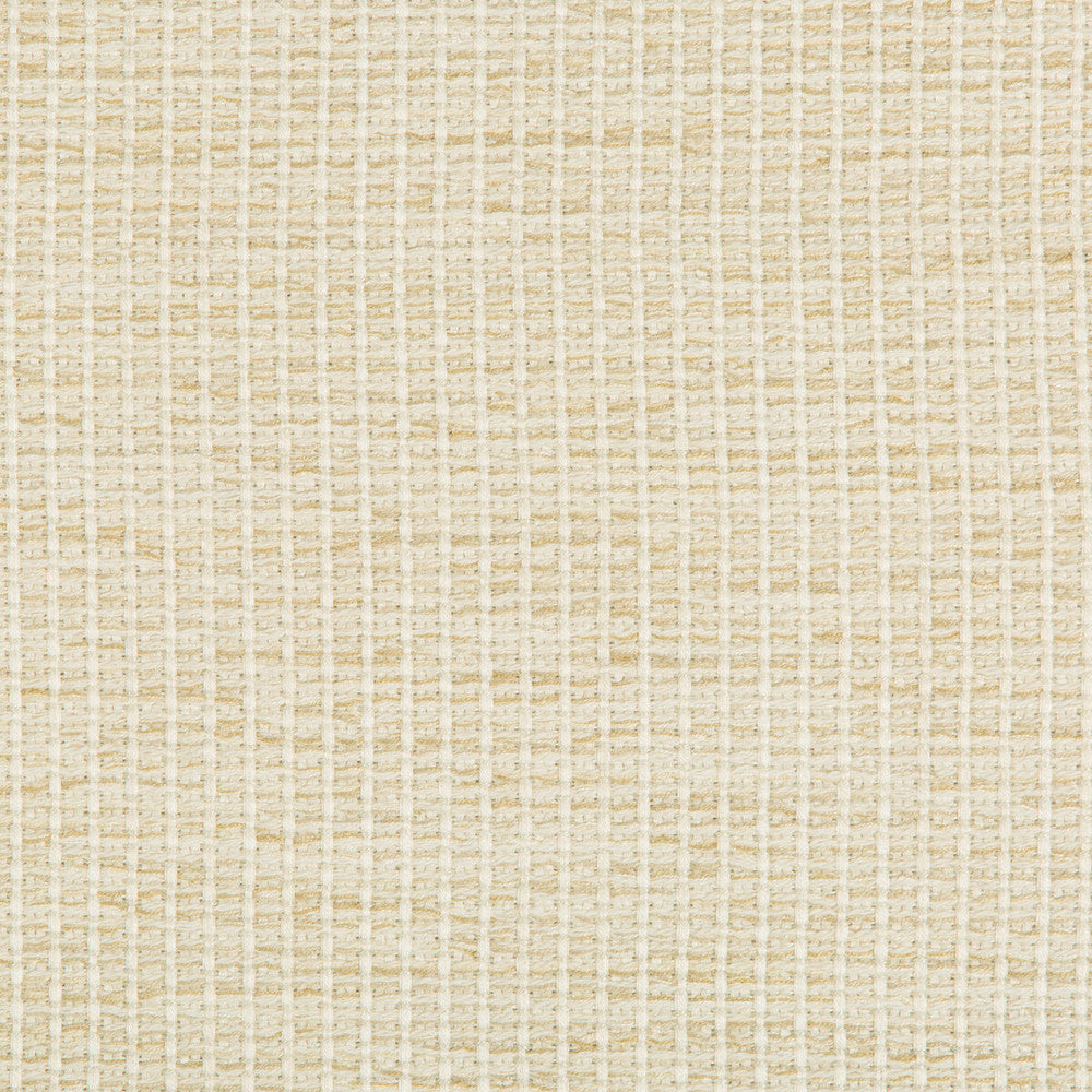 35123-116 by Kravet Design Fabric PERFORMANCE CRYPTON HOME RAYON - 85%;COTTON - 14%;NYLON - 1% United States HEAVY Horizontal: 0 and Vertical: 0 54.5 - Fabric Carolina -