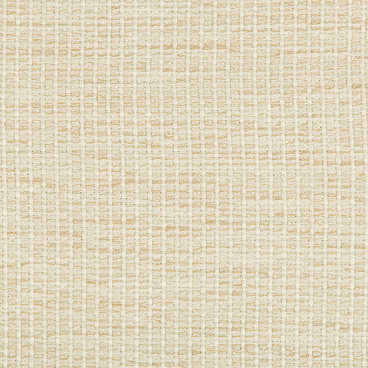 35123-116 by Kravet Design Fabric PERFORMANCE CRYPTON HOME RAYON - 85%;COTTON - 14%;NYLON - 1% United States HEAVY Horizontal: 0 and Vertical: 0 54.5 - Fabric Carolina -