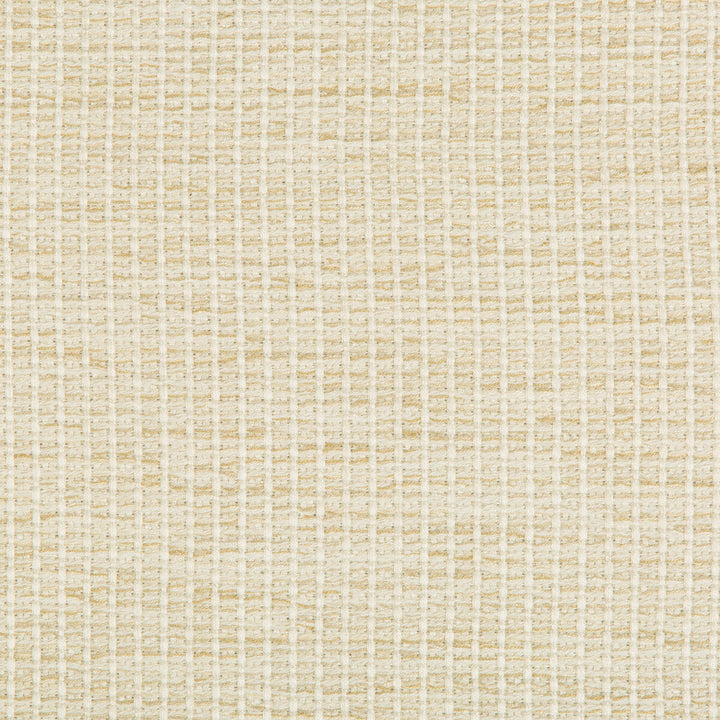Kravet Design 35123-116 by Kravet Design Fabric Kravet Design Fabric Kravet Design 35123-116Fabric PERFORMANCE CRYPTON HOME RAYON - 85%;COTTON - 14%;NYLON - 1% United States </p><p>Repeat: H: 0, V: 0 54.5 - Fabric Carolina -
