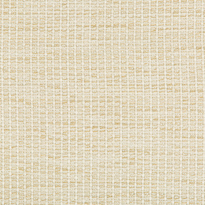 Kravet Design 35123-116 by Kravet Design Fabric