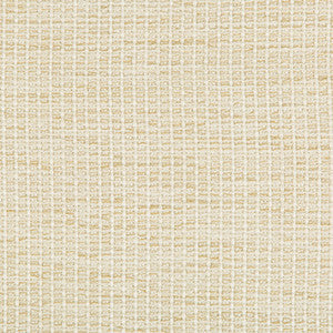 Kravet Design 35123-116 by Kravet Design Fabric